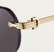 Сонцезахисні окуляри Collection Premiеre Cartier ESW00698 sgl07 фото 3