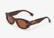 Сонцезахисні окуляри Fendi Roma Havana acetate sunglasses Brown sgl17 фото 3