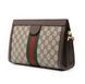 Маленька сумка на плече Gucci Ophidia GG guc04 фото 2